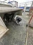 Pattugliatore in vendita