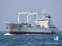 Nave refrigerata in vendita