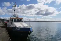 Pattugliatore in vendita
