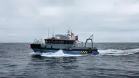 Portacontainer in vendita