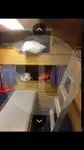 Peschereccio a strascico a trave in vendita