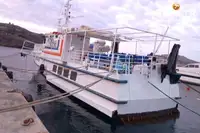 Nave traghetto in vendita
