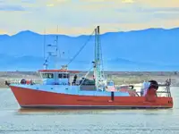 Trawler in vendita