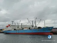 Nave refrigerata in vendita