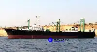 Grande peschereccio congelatore a strascico in vendita