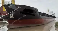 Mezzo da sbarco, carro armato in vendita