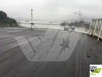 Nave da crociera in vendita