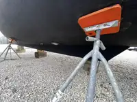 Nave da crociera in vendita