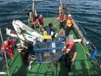Imbarcazioni da lavoro in vendita