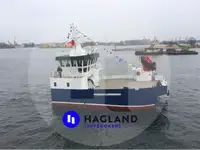 Barche da lavoro in vendita