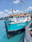 Nave da rilevamento in vendita