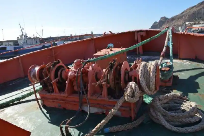 Portacontainer in vendita