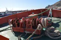 Portacontainer in vendita