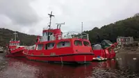 Nave da rilevamento in vendita
