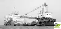 Nave gru in vendita