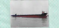 Chiatta in vendita