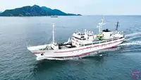 Nave da rilevamento in vendita
