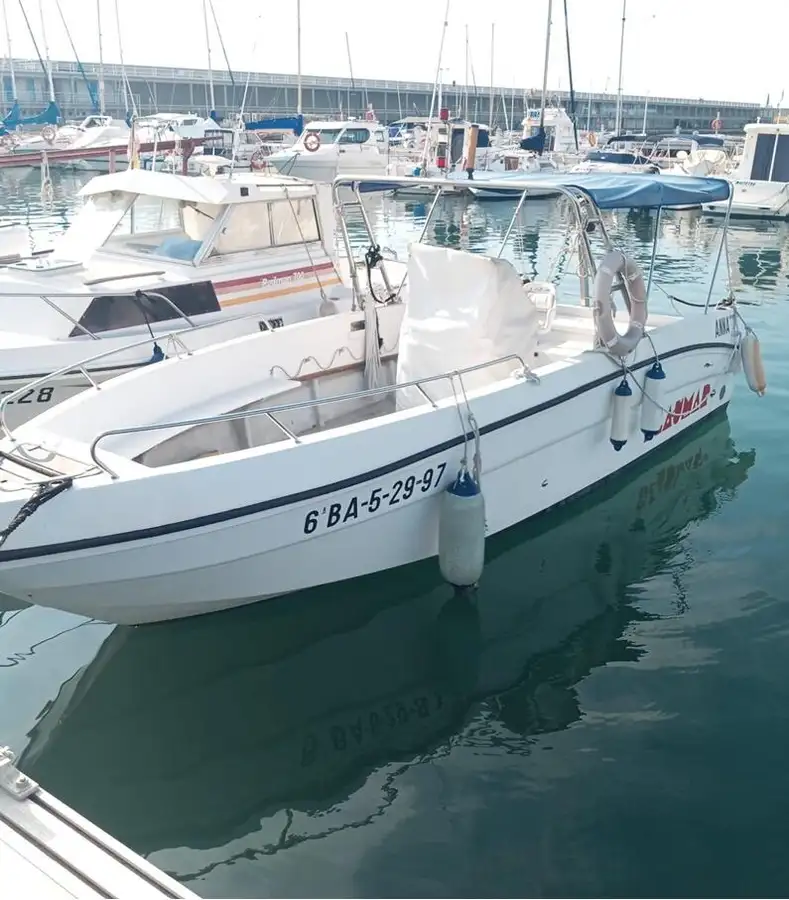 Nave da crociera in vendita