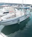 Nave da crociera in vendita