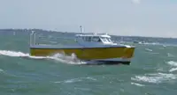 Catamarano in vendita