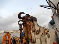 Imbarcazioni da lavoro in vendita