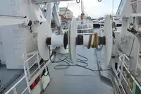 Portacontainer in vendita