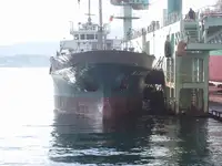 Portarinfuse in vendita