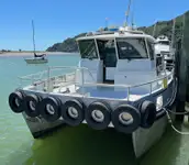 Catamarano in vendita