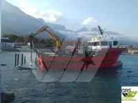 Barche da lavoro in vendita