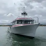 Barche da lavoro in vendita