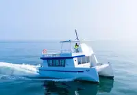 Catamarano in vendita