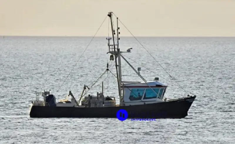 Peschereccio a strascico a trave in vendita