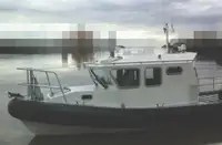 Imbarcazioni da lavoro in vendita