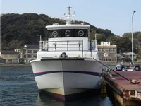 Nave traghetto in vendita