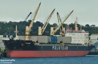 Trasportatore di merci sfuse in vendita