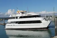 Catamarano in vendita