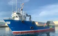 Barche da lavoro in vendita