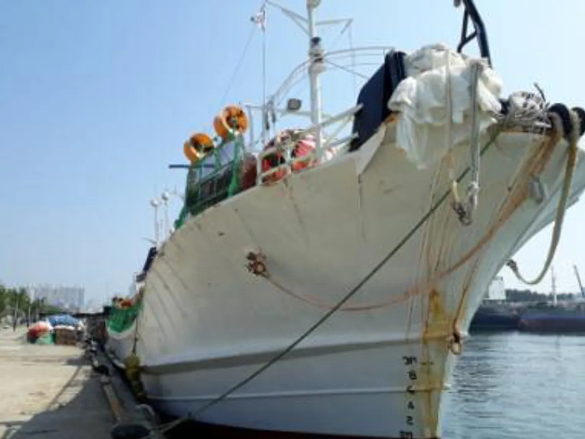 Peschereccio per calamari in vendita