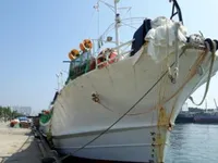 Peschereccio per calamari in vendita