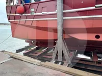 Trasportatore di pesce vivo in vendita