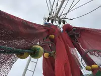 Peschereccio a strascico in vendita