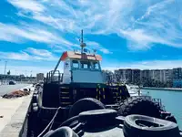 Imbarcazioni da lavoro in vendita