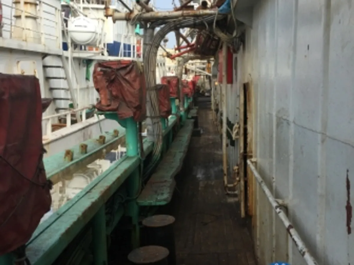 Peschereccio per calamari in vendita
