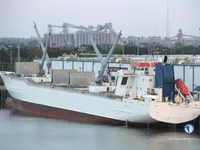 Nave refrigerata in vendita