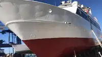 Nave da crociera in vendita