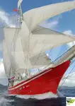 Nave da crociera in vendita