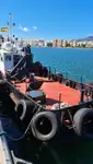 Imbarcazioni da lavoro in vendita