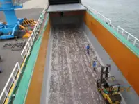 Trasportatore di merci sfuse in vendita