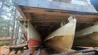 Nave da crociera in vendita