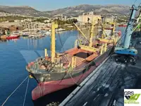 Trasportatore di merci sfuse in vendita